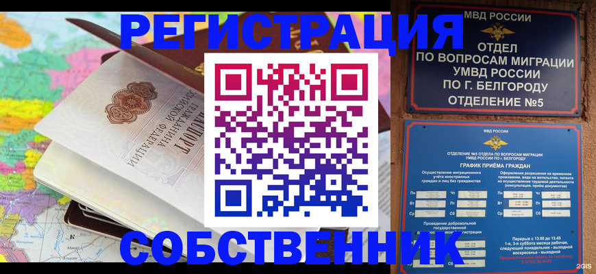 временная регистрация гарантия в Химках